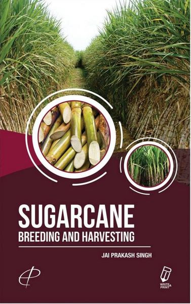 Produktbild: Sugarcane : Breeding and Harvesting
