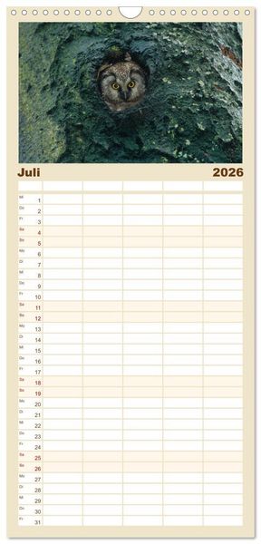 Produktbild: Familienplaner 2026 - Heimische Eulen und Greife mit 5 Spalten (Wandkalender, 21 x 45 cm) CALVENDO