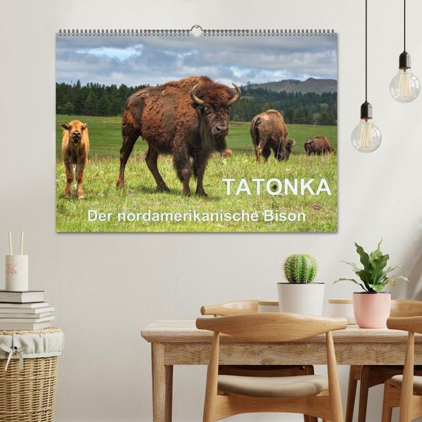 Produktbild: TATONKA Der nordamerikanische Bison (Wandkalender 2026 DIN A2 quer), CALVENDO Monatskalender