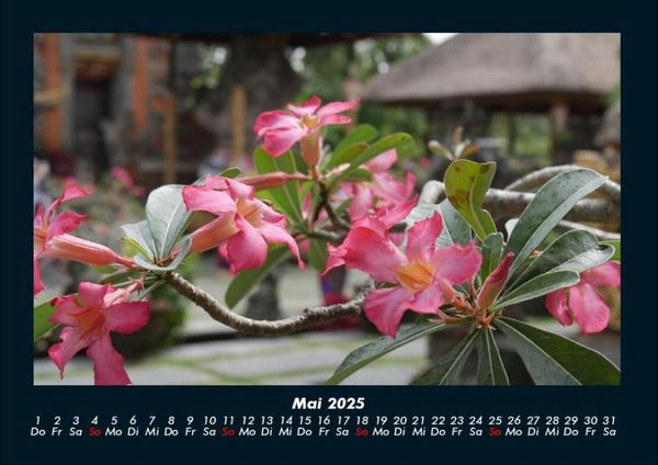 Produktbild: Blumenzauber 2025 Fotokalender DIN A4