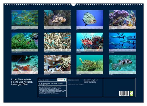 Produktbild: In der Meerestiefe. Fische und Korallen im ewigen Blau (Wandkalender 2026 DIN A2 quer), CALVENDO Monatskalender