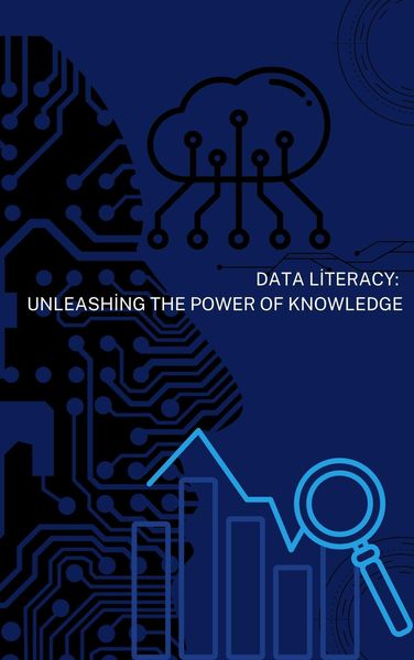 Produktbild: Data Literacy: Unleashing the Power of Knowledge