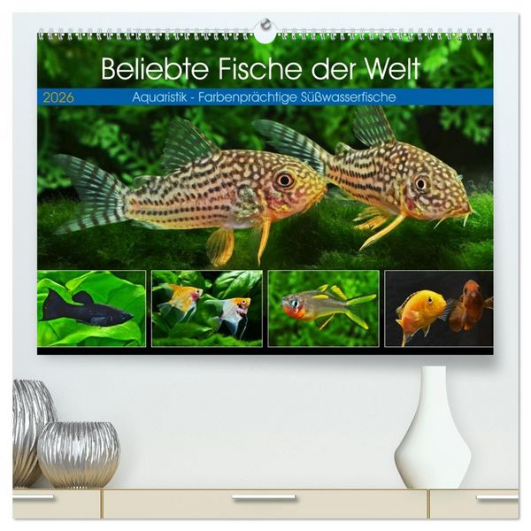 Beliebte Fische der Welt (hochwertiger Premium Wandkalender 2026 DIN A2 quer), Kunstdruck in Hochglanz