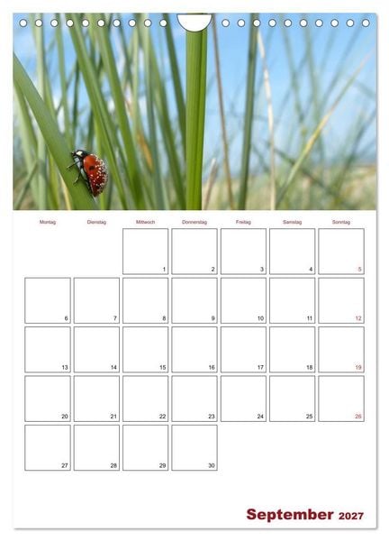 Produktbild: Marienk&auml;fergl&uuml;ck (Wandkalender 2027 DIN A4 hoch), CALVENDO Monatskalender