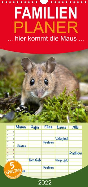 Produktbild: Familienplaner ... hier kommt die Maus ... (Wandkalender 2022 , 21 cm x 45 cm, hoch)