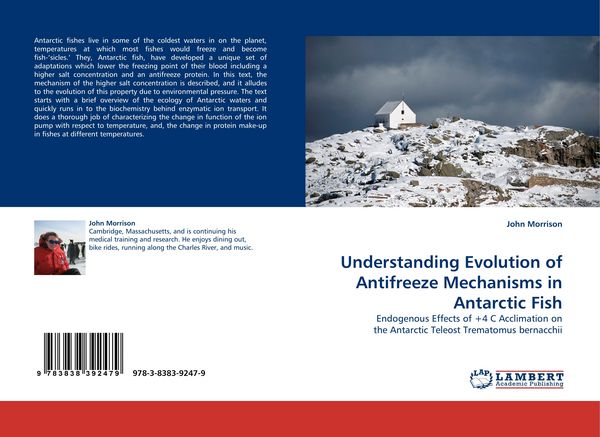 Produktbild: Understanding Evolution of Antifreeze Mechanisms in Antarctic Fish