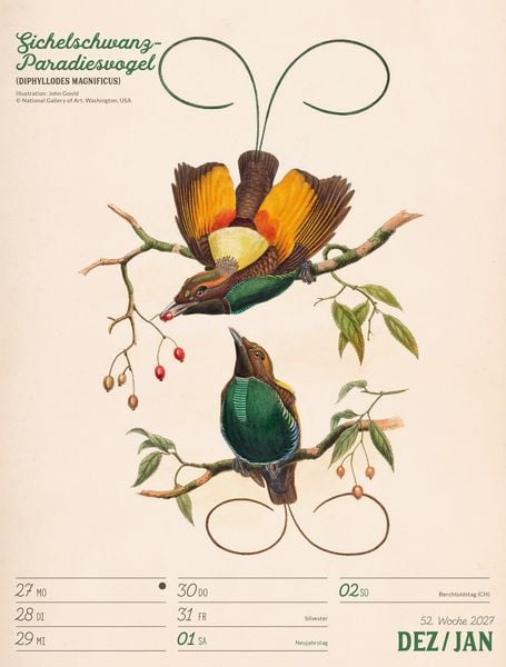 Produktbild: Wunderbare Vogelwelt Wochenplaner Kalender 2027