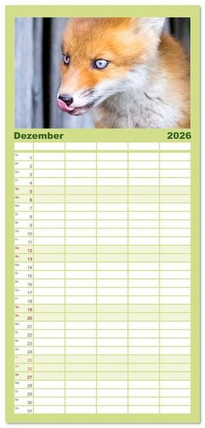 Produktbild: Familienplaner 2026 - Verspielte Fuchswelpen - Allein zu Haus' mit 5 Spalten (Wandkalender, 21 x 45 cm) CALVENDO