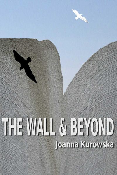 Produktbild: The Wall & Beyond