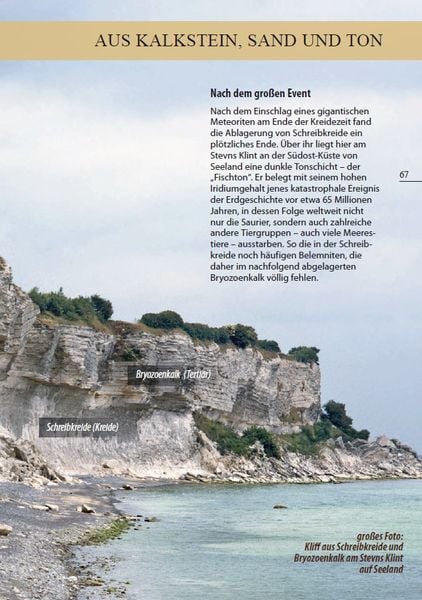 Produktbild: Fossilien am Ostseestrand