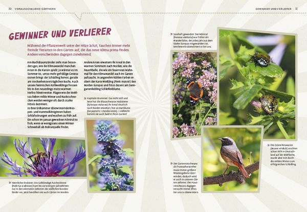 'Superpflanzen' von 'Elke Schwarzer' Buch '9783818617523'