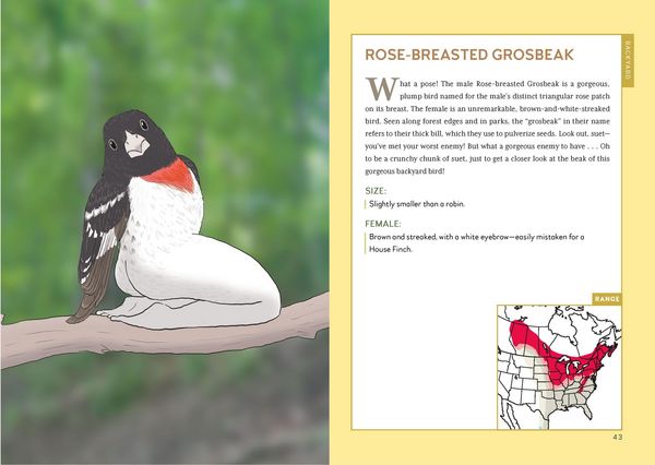 Produktbild: Extremely Accurate Birds
