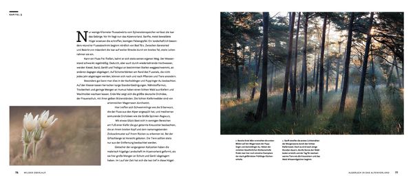 Produktbild: Wilde Isar