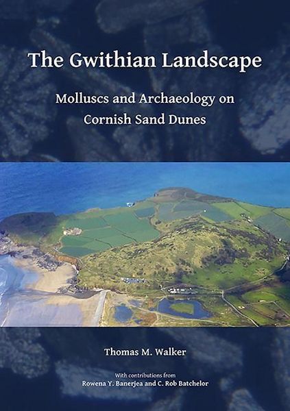Produktbild: The Gwithian Landscape: Molluscs and Archaeology on Cornish Sand Dunes