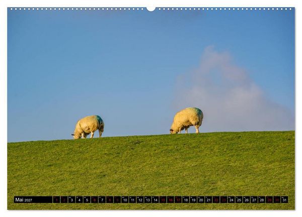 Produktbild: Provinz Groningen (hochwertiger Premium Wandkalender 2027 DIN A2 quer), Kunstdruck in Hochglanz
