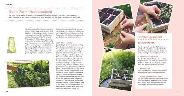 Produktbild: Garten Basics