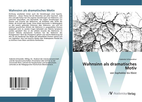 Produktbild: Wahnsinn als dramatisches Motiv