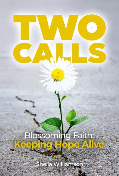 Produktbild: Two Calls