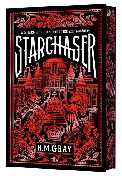 Starchaser, Taschenbuch von R. M. Gray, dtv, 978-3-423-74138-5