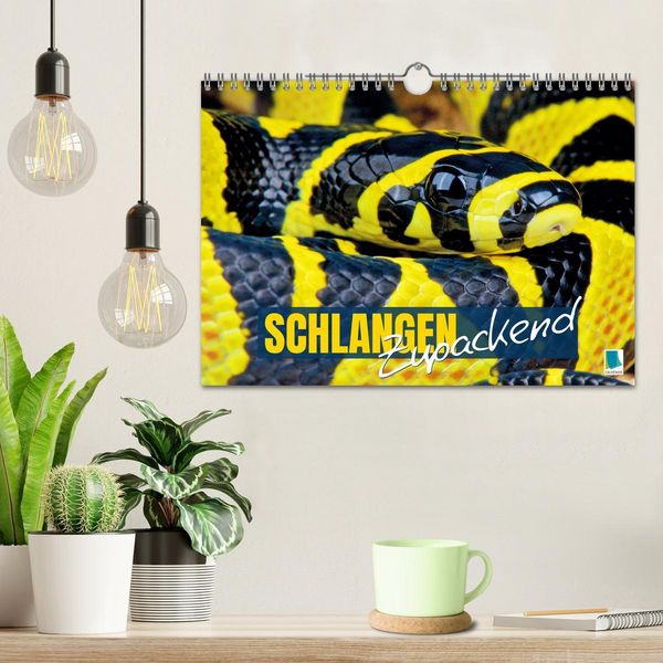 Produktbild: Schlangen: Zupackend (Wandkalender 2026 DIN A4 quer), CALVENDO Monatskalender
