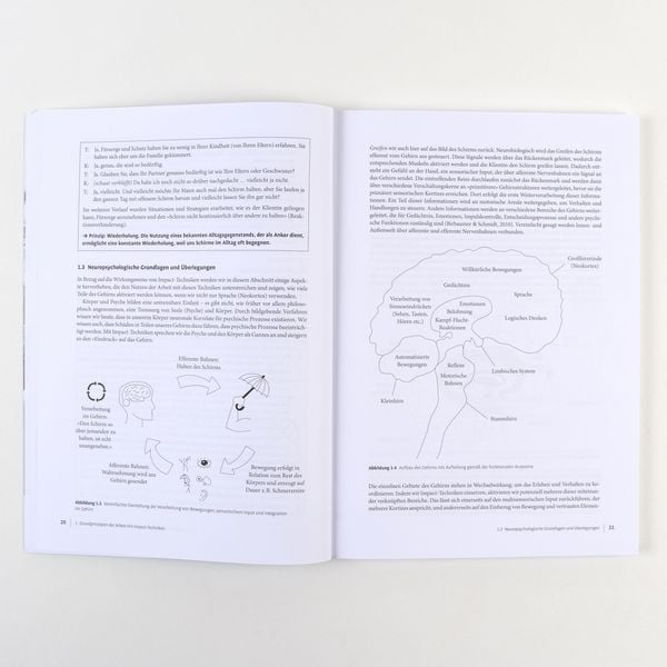 Produktbild: Therapie-Tools Impact-Techniken im Einzelsetting