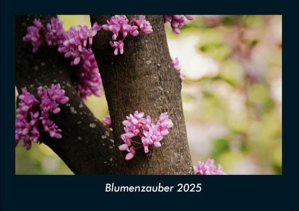 Produktbild: Blumenzauber 2025 Fotokalender DIN A4