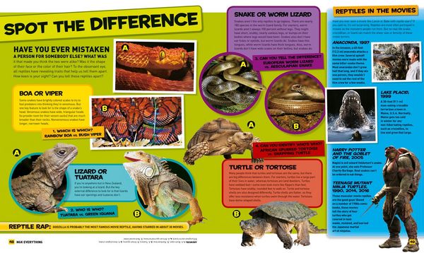 Produktbild: National Geographic Kids Everything Reptiles