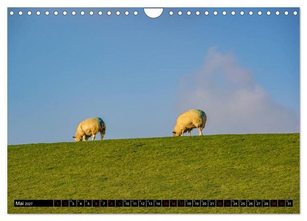 Produktbild: Provinz Groningen (Wandkalender 2027 DIN A4 quer), CALVENDO Monatskalender
