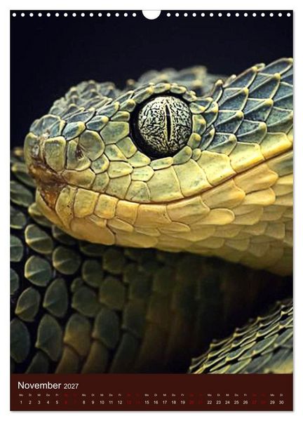 Produktbild: The Power Of Snake (Wandkalender 2027 DIN A3 hoch), CALVENDO Monatskalender