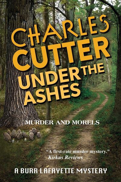 Produktbild: Under the Ashes