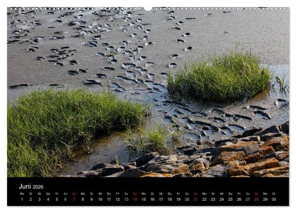 Produktbild: NORDSEE IMPRESSIONEN (Wandkalender 2026 DIN A2 quer), CALVENDO Monatskalender