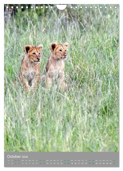 Produktbild: Wildlife of the Masai Mara (Wall Calendar 2026 DIN A4 portrait), CALVENDO 12 Month Wall Calendar
