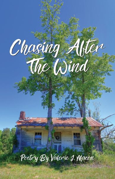 Produktbild: Chasing After the Wind