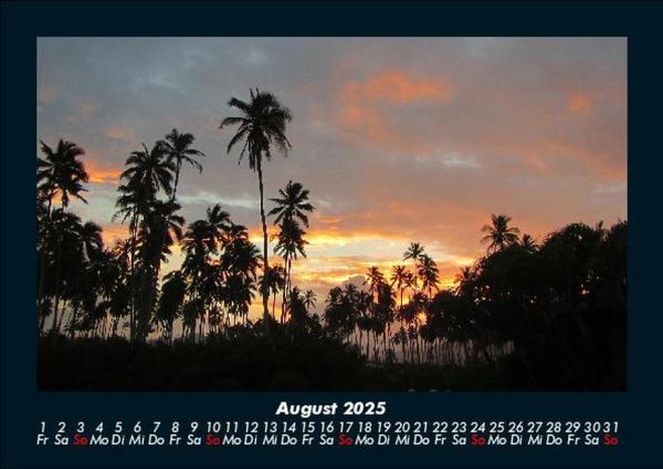 Produktbild: Palmentraum 2025 Fotokalender DIN A5