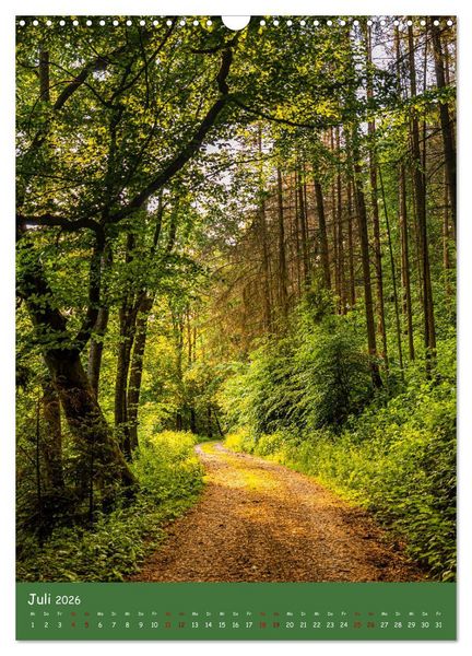 Produktbild: Ich bin dann mal im Wald (Wandkalender 2026 DIN A3 hoch), CALVENDO Monatskalender