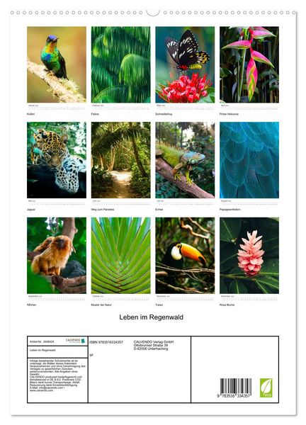 Produktbild: Leben im Regenwald (hochwertiger Premium Wandkalender 2026 DIN A2 hoch), Kunstdruck in Hochglanz