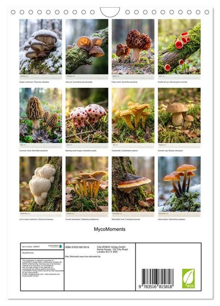 Produktbild: MycoMoments (Wall Calendar 2027 DIN A4 portrait), CALVENDO 12 Month Wall Calendar