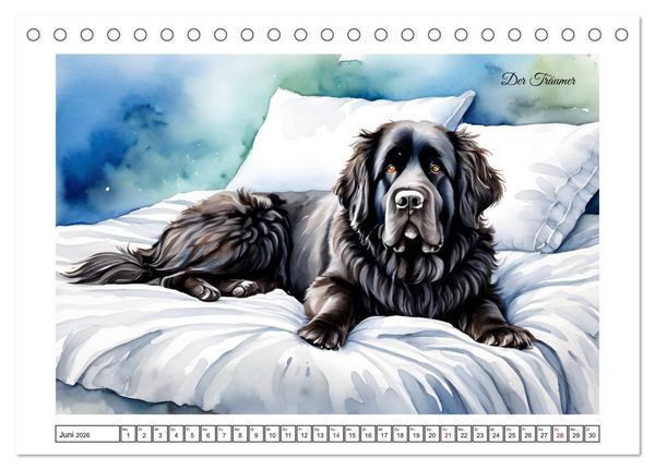 Produktbild: Hundetr&auml;ume (Tischkalender 2026 DIN A5 quer), CALVENDO Monatskalender