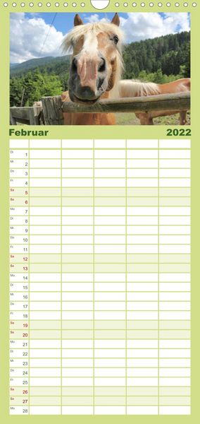 Produktbild: Familienplaner Alpenpferde (Wandkalender 2022 , 21 cm x 45 cm, hoch)