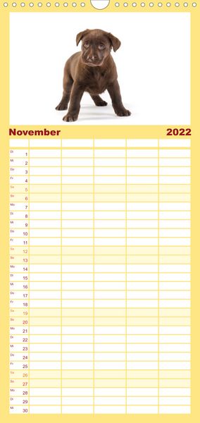 Produktbild: Familienplaner Labrador - Welpen (Wandkalender 2022 , 21 cm x 45 cm, hoch)