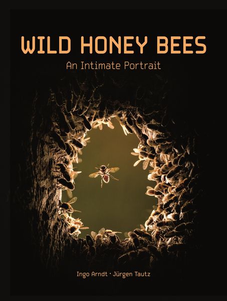 Produktbild: Wild Honey Bees