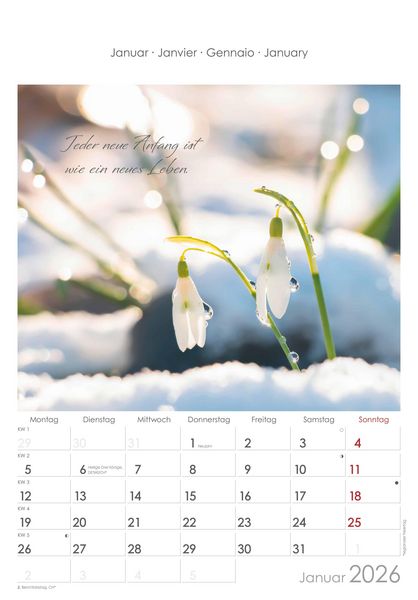 Auszeit für die Seele 2026 - Bildkalender 23,7x34 cm - Kalender mit Platz für Notizen - mit vielen Zusatzinformationen - Wandkalender - Alpha Edition