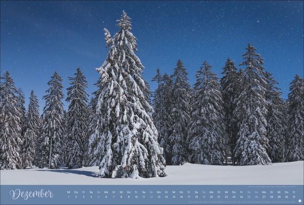 Produktbild: Zauberw&auml;lder Edition Kalender 2027