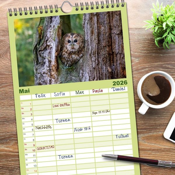 Produktbild: Familienplaner 2026 - Eulen - Fl&uuml;gel der Nacht mit 5 Spalten (Wandkalender, 21 x 45 cm) CALVENDO