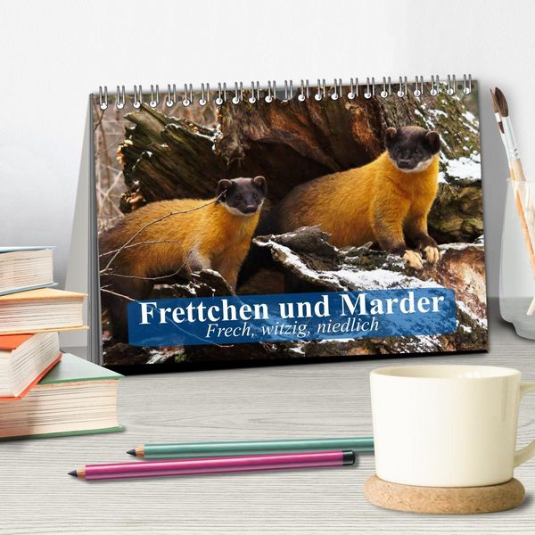 Produktbild: Frettchen und Marder. Frech, witzig, niedlich (Tischkalender 2026 DIN A5 quer), CALVENDO Monatskalender
