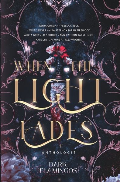Produktbild: When the Light Fades
