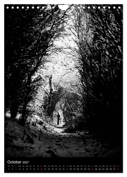 Produktbild: Journeys - Black & White (Wall Calendar 2027 DIN A4 portrait), CALVENDO 12 Month Wall Calendar