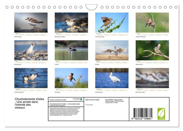 Produktbild: Chuchotements d'ailes - Une ann&eacute;e dans l'intimit&eacute; des oiseaux (Calendrier mural 2026 DIN A4 vertical), CALVENDO calendrier mensuel