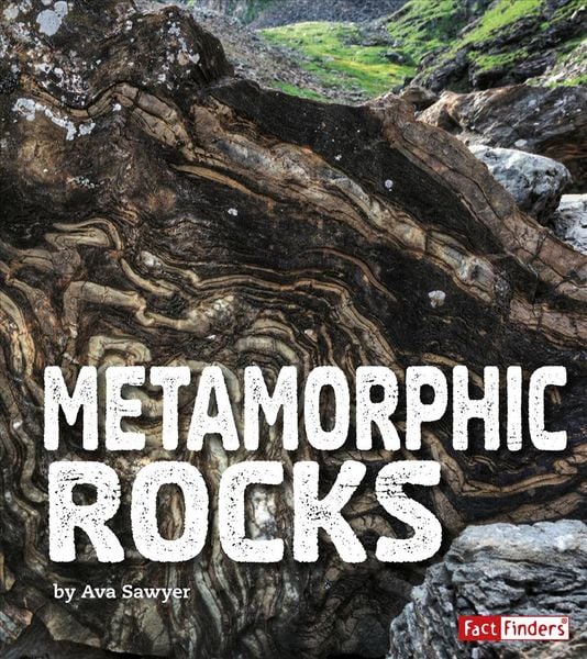 Produktbild: Metamorphic Rocks