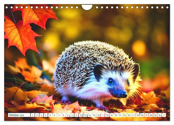 Produktbild: Niedliche Igel (Wandkalender 2026 DIN A4 quer), CALVENDO Monatskalender